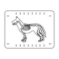 Dog x-ray icon in outline style isolated on white background. Veterinary clinic symbol stock vector illustration. Royalty Free Stock Photo