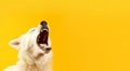 Dog yawning yellow banner. Generate Ai