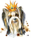 Watercolor Portrait Of Yorkshire terrier breed dog with a crown on his head Royalty Free Stock Photo