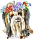 Watercolor portrait of yorkshire terrier breed dog with wreath of freesia. Royalty Free Stock Photo