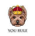 Dog Yorkshire terrier. Crown. You rule inscription. Dog king. Dog head face. Vector.