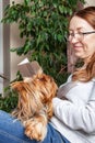 Dog lying in the lap of a woman and looks into her eyes Royalty Free Stock Photo