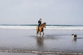 dog and young woman riding horse on beach Royalty Free Stock Photo