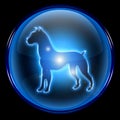 Dog Zodiac icon Royalty Free Stock Photo