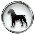 Dog Zodiac icon grey Royalty Free Stock Photo