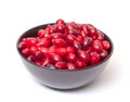 Dogberry in Bowl Royalty Free Stock Photo