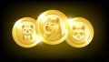 Doge meme cryptocurrency. Doge coin, Shiba Inu , Baby Doge