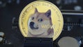 Dogecoin coins