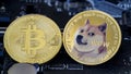 Dogecoin coins Royalty Free Stock Photo