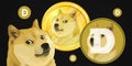 Dogecoin crypto currency digital payment system blockchain concept