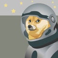 Dogecoin. Shiba Inu in an astronaut spacesuit