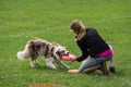 Dogfrisbee competition in Warsaw, Poland
