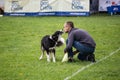 Dogfrisbee competition in Warsaw, Poland