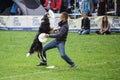 Dogfrisbee competition in Warsaw, Poland