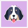 Doggie Face of Bernese Mountain Dog Flat Design Royalty Free Stock Photo
