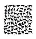 Dog Activity Silhouettes Royalty Free Stock Photo