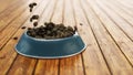 Doggy bowl with food animation on wooden floor