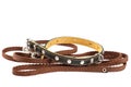 Doggy leather belt collar leash on white background. Royalty Free Stock Photo