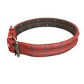 Doggy leather collar on an isolated white background. 3d illustration Royalty Free Stock Photo