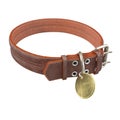 Doggy leather collar on an isolated white background. 3d illustration Royalty Free Stock Photo