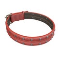 Doggy leather collar on an isolated white background. 3d illustration Royalty Free Stock Photo