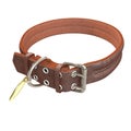 Doggy leather collar on an isolated white background. 3d illustration Royalty Free Stock Photo