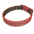 Doggy leather collar on an isolated white background. 3d illustration