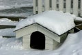 In The Doghouse - Scandinavian style Royalty Free Stock Photo