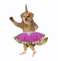 Dogicorn in ballet dancer clothes