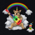 Dogicorn playing guitar on cloud