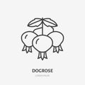 Dogrose berry flat line icon, medical herb sign, healthy food logo. Illustration for natiral food store