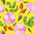 160 dogrose, ornament for wallpaper and fabrics, wrapping paper, background for different design