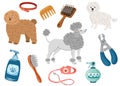Pet Grooming salon elements. Poodle and Barbershop for dogs, groomer tools or equipment, scissors, brushes, shampoo Royalty Free Stock Photo