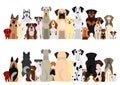 Dogs big group set Royalty Free Stock Photo