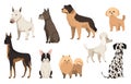 Dogs breed collection. Cute funny cartoon domestic pets characters flat vector illustration. Human friends home animals