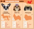 Dogs breed infographics types of dog breeds from China.