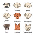 Dogs breeds color icons set Royalty Free Stock Photo