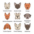Dogs breeds color icons set Royalty Free Stock Photo