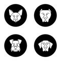 Dogs breeds glyph icons set Royalty Free Stock Photo