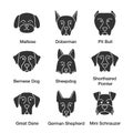 Dogs breeds glyph icons set Royalty Free Stock Photo