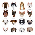 Dogs Breeds Set Royalty Free Stock Photo