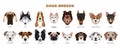 Dogs Breeds Set