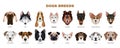 Dogs Breeds Set Royalty Free Stock Photo