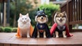 Dogs and cat in halloween cosplay. Generative AI