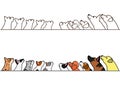 Dogs and cats looking up profile border set