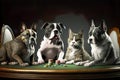 Dogs and cat play poker at the poker table in a pleasant environment. Royalty Free Stock Photo