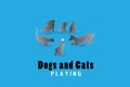 Dogs and cats playing logo vector image