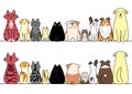Dogs and cats in a row with copy space, front and back Royalty Free Stock Photo