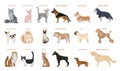 Dogs and cats set. Royalty Free Stock Photo