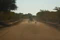 Dogs chasing cart down a dirt road